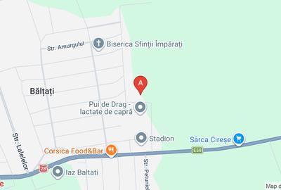 Spațiu industrial, 300 mp în Bălțați - 1