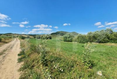 Teren de 3100 mp, în Central - 3