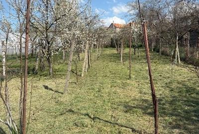 De vanzare casa cu teren pe strada Depoului la nr. 43 - 3