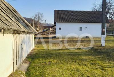 Microferma cu locuinta de vanzare in Pianu de sus - 3