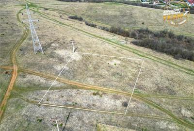 2.000mp teren, investitional, in vecinatatea padurii, Simeri - 6