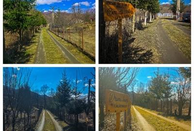 Casă individuală cu 5 camere cu Canalizare în Valea de Brazi - 3