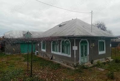 Casă cu 2 camere cu Teren 1000 Mp în Central - 8