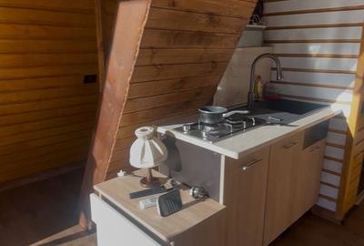 Casă cu 2 camere cu Teren 400 Mp în Dâmbovicioara - 6