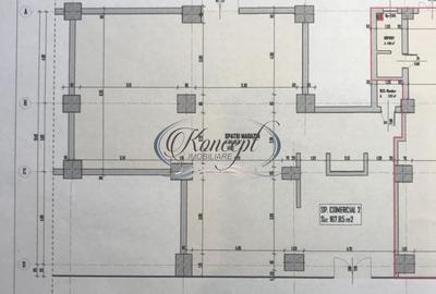 Spatiu comercial ideal pentru showroom - 10