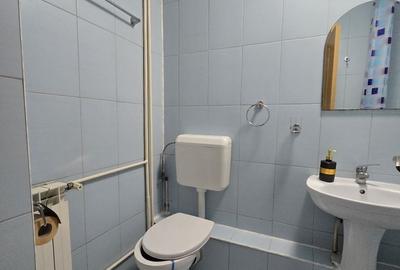 Garsonieră decomandată, mobilată în Unirii - 7