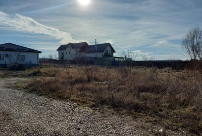 Loc pentru casa cu utilitati la 500m de padure, Ciofliceni - Snagov! Loc pentru casa cu utilitati la 500m de padure, Ciofliceni - Snagov! - 10