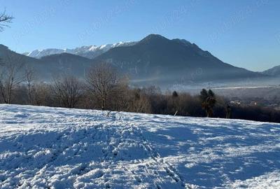 Teren intravilan intre 500 si 1000 mp cu vedere panoramica in zona Bran Tohanita - 1