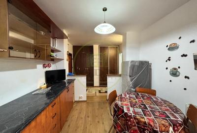 Apartament cu 2 camere decomandat, mobilat în Brazda lui Novac - 6