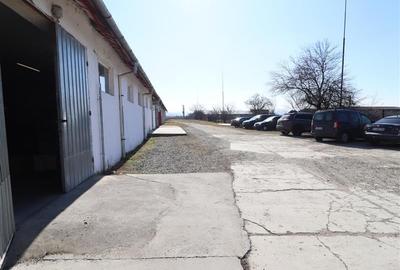 Teren intravilan 9359 mp  |  hala 786 mp | Apahida | zona Libertatii - 29