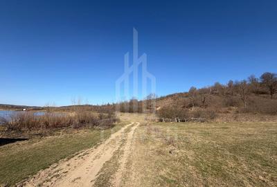 Teren agricol extravilan de 38000.0390625 mp, în Nord - 16