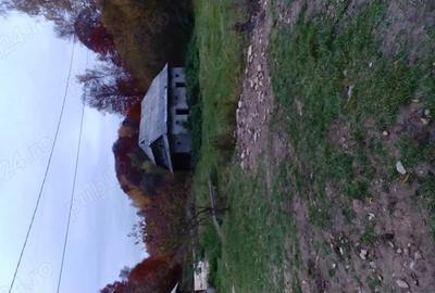 Casă cu Teren 140000 Mp în Preluca Nouă - 6