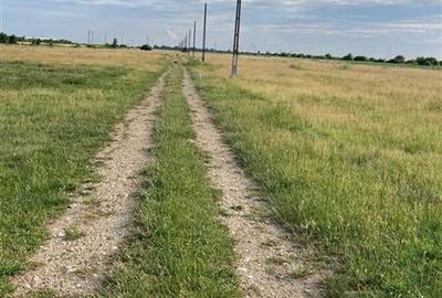TEREN DE VANZARE  CIOCANESTI-DAMBOVITA 53.300 MP - 1