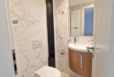 Luxury Villa for rent - Primaverii - 6