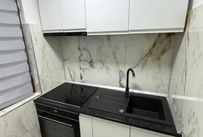 Chirie apartament cu o camera parter Nufaru - 4