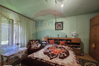 Casă cu 5 camere cu Teren 4484 Mp în Balinț - 3