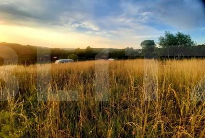 Teren de 1129 mp, în Borhanci