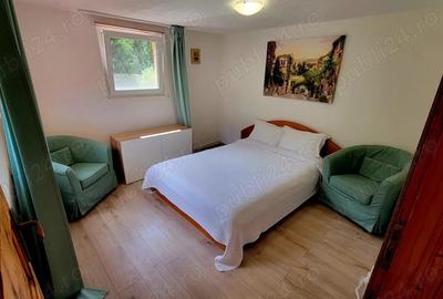 Casa de Vacanta - Cheile Dambovicioarei - 10