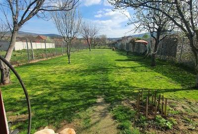 Casă cu 4 camere cu Teren 890 Mp în Miniș - 5