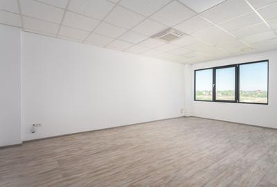 De inchiriat Hală Nouă 1200mp – Top Pret, in zona Chitila / Rudeni - 11