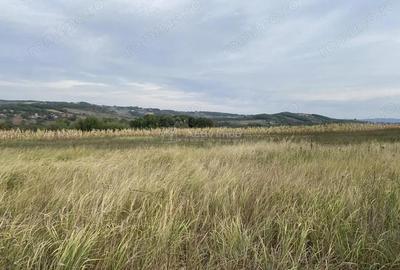 Teren extravilan de vanzare in Tileagd - 3166 mp cu panorama superba - 14