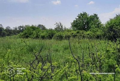 Teren de 2880 mp, în Lipova - 3