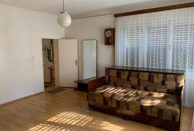 Casa de Vanzare in Boro?neu Mare 130 mp, Teren 3033 mp - 14