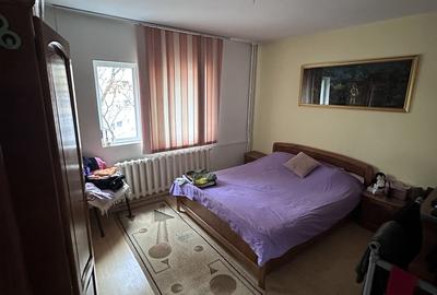 Apartament cu 3 camere decomandat în Costin Georgian - 1