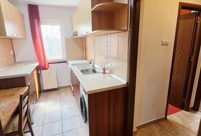 Apartament cu 2 camere circular, mobilat în Nord - 10