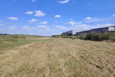 Teren intravilan industrial – Tomești, zona Contom - 5