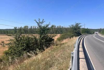 Teren agricol cu potential 24.834 mp, zona Podul Jiului Teren agricol cu potential 24.834 mp, zona Podul Jiului - 8