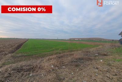 Comision 0% Teren extravilan agricol 21,32 ha sau intravilan cu PUZ aprobat - 18