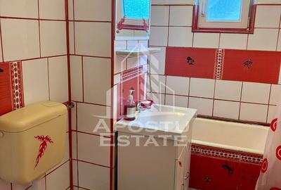 Apartament cu 3 camere semidecomandat, mobilat în Aradului - 10