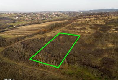Spațiu comercial, în Uileacu de Munte - 3