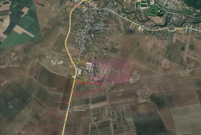 Teren 40ha Adunatii Copaceni | Industrial/ Logistic - 4