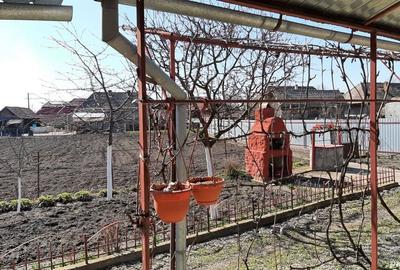 Casă cu 2 camere în Chețani - 1