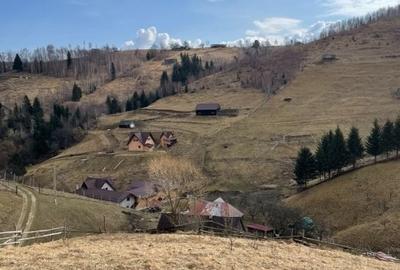 VÂNZARE TEREN CU POTENȚIAL DE DEZVOLTARE ÎN ZONA TURISTICĂ MAGURA-PESTERA - 11