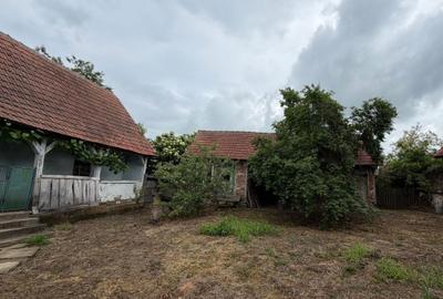 Casă cu 2 camere în Chizătău