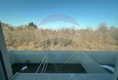 Duplex de inchiriat Voluntari - 25