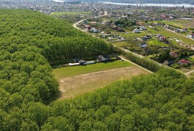 Teren Construcții intravilan de 500 mp, în Snagov - 2