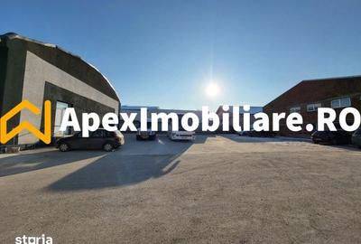 Spațiu comercial, de 1,800 mp, în Xenia - 9
