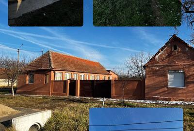 Casă cu 3 camere cu Teren 3000 Mp în Alioș - 8