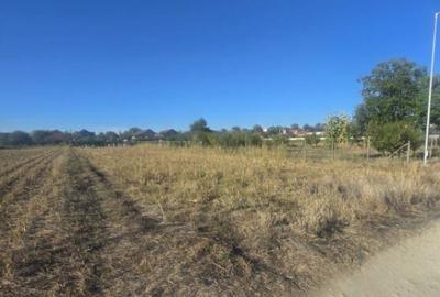 Teren 1000mp ,la intrarea in Filiasi - 3