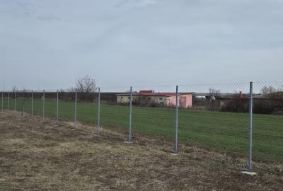 Caciulati, vanzare casa 3 camere la rosu, 1.000mp teren - 9