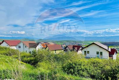 Spațiu comercial, în Șura Mare - 2