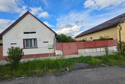 Casă cu 3 camere în Central