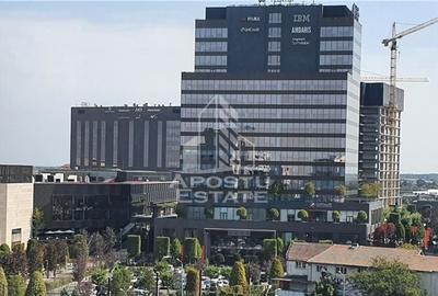 Apartament cu 3 camere ,centrala proprie ,langa Iulius Town - 7