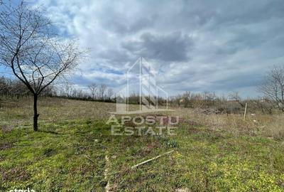 Teren de 2896 mp, în Moșnița Nouă