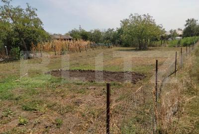 Casă cu 4 camere cu Teren 2300 Mp în Vârvor - 5