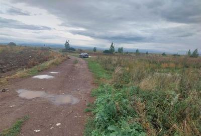 Teren Construcții intravilan de 33100 mp, în Tărlungeni